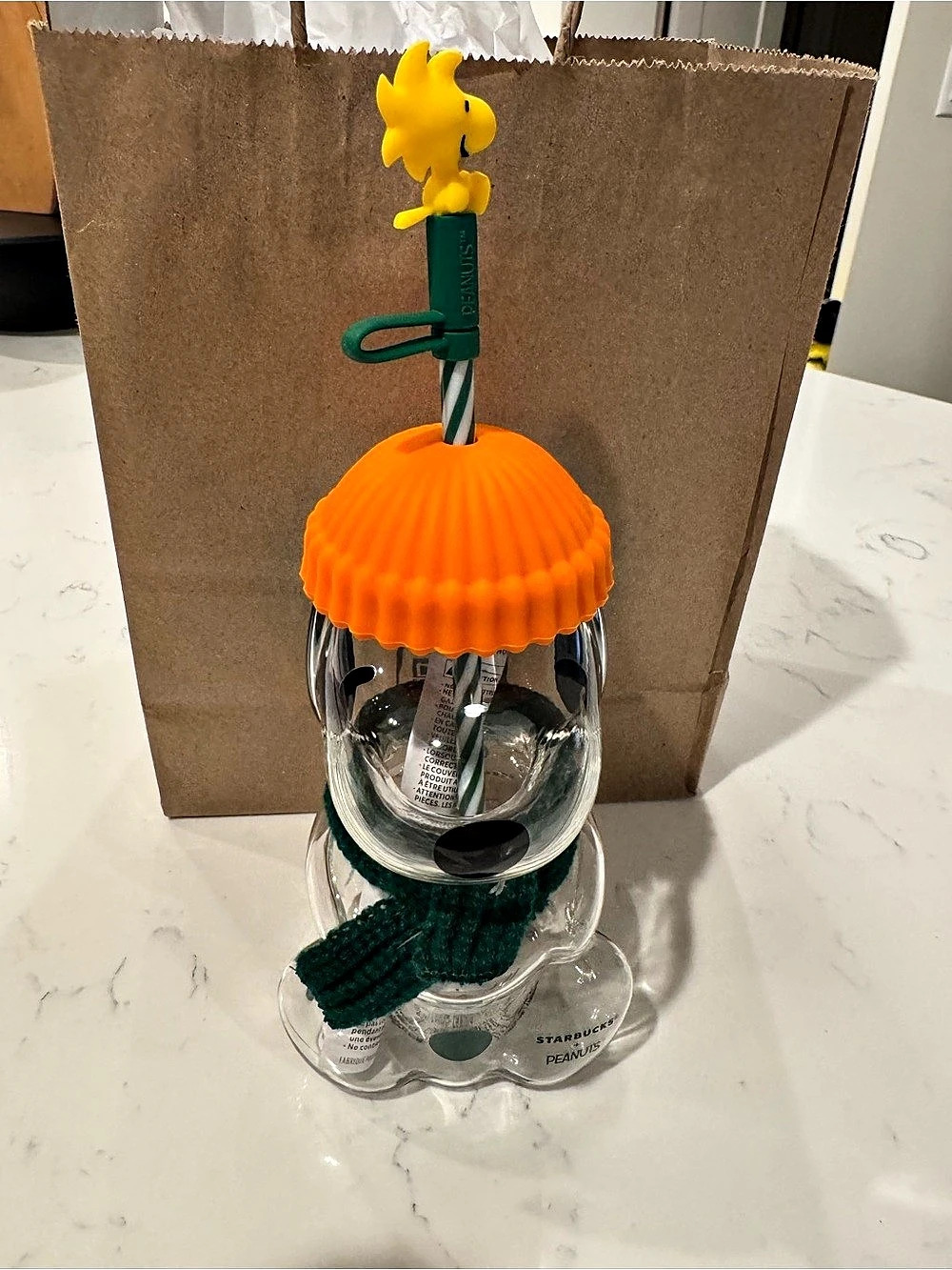 Starbucks x Peanuts Snoopy Glass Cold Cup Clear & Orange